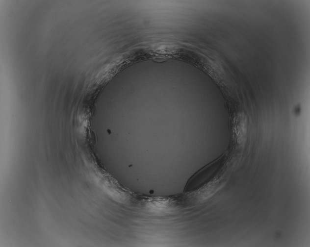 X0000116110235200912071330