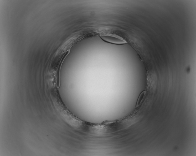 X0000116110237200912071330