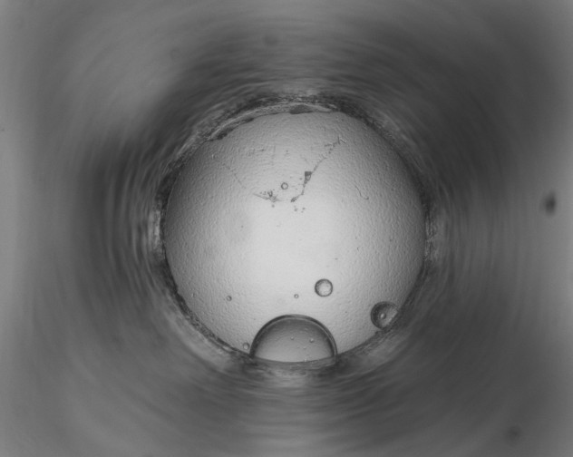 X0000116110238200912071330