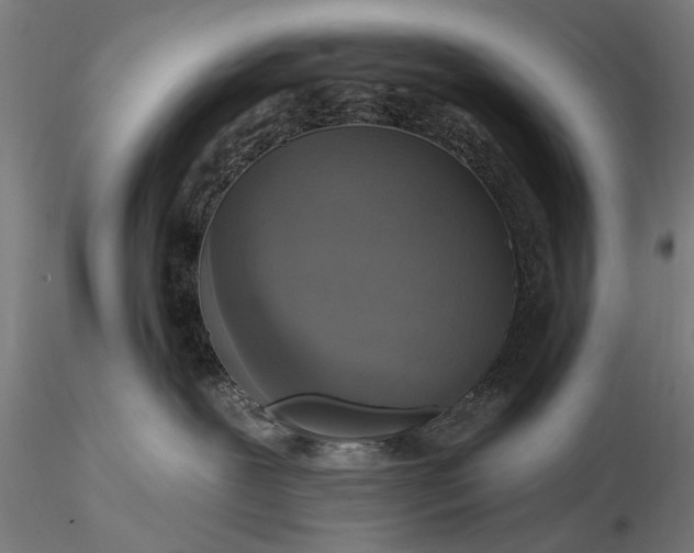 X0000116110239200912071330