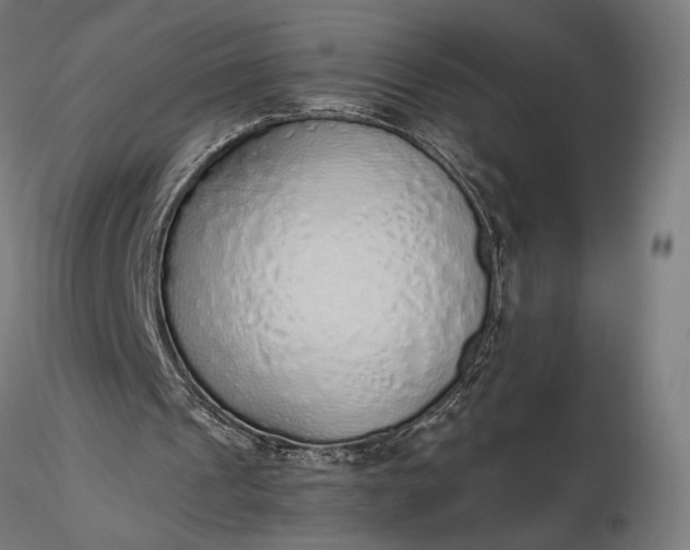 X0000116110241200912071329