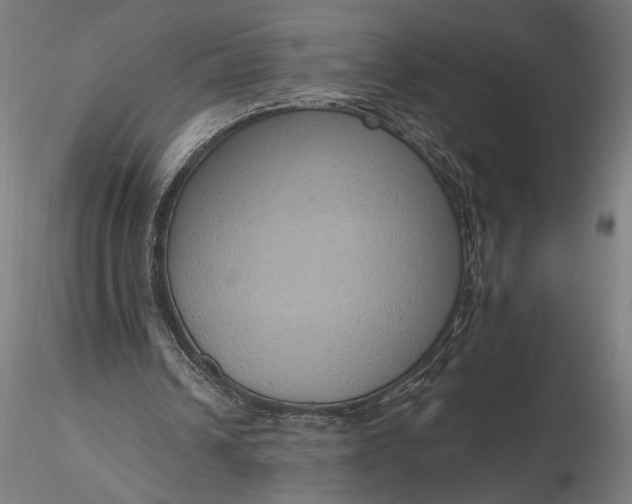 X0000116110242200912071329