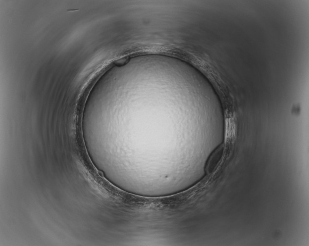 X0000116110243200912071329