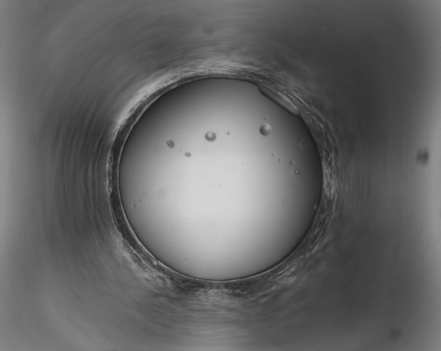 X0000116110244200912071329