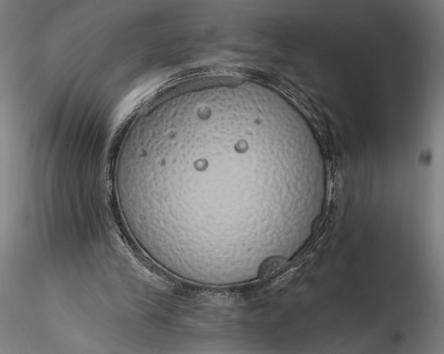 X0000116110245200912071329