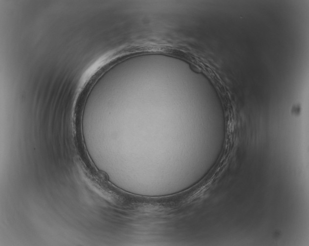 X0000116110246200912071329