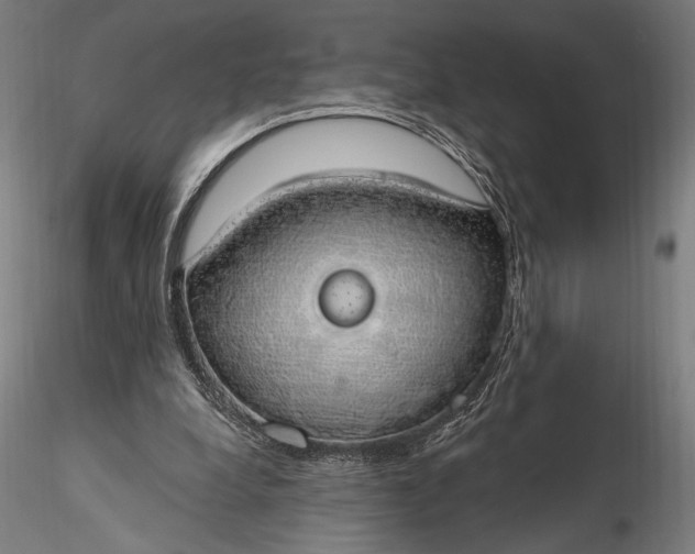 X0000116110248200912071329