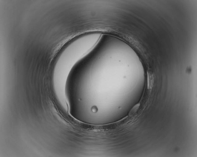 X0000116110252200912071329