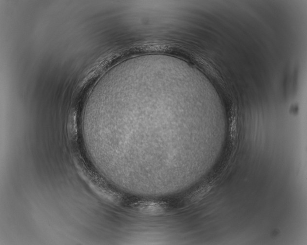 X0000116110254200912071329