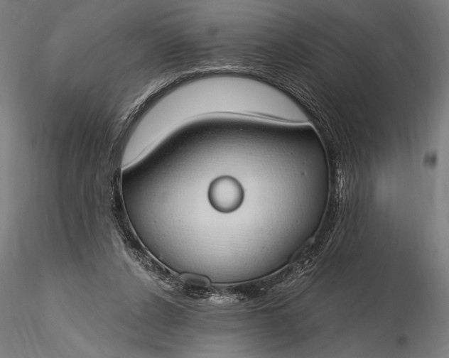 X0000116110256200912071329