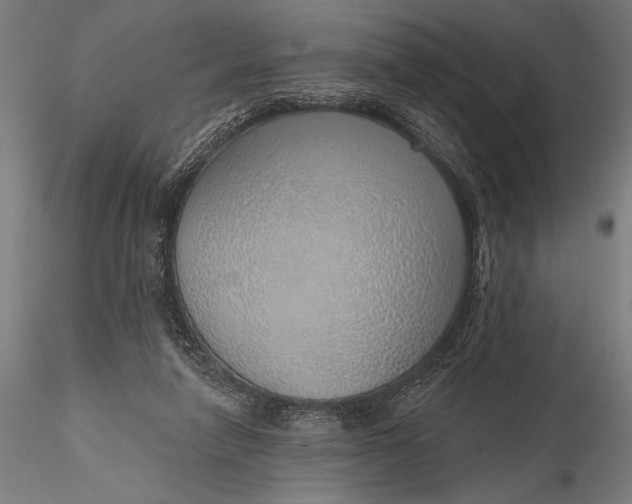 X0000116110258200912071329