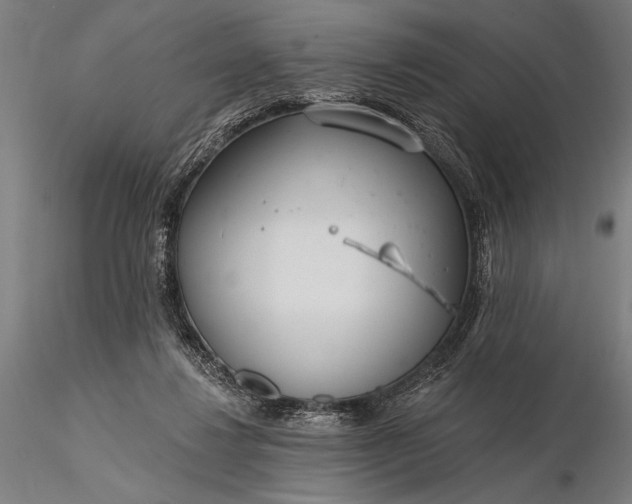 X0000116110260200912071329