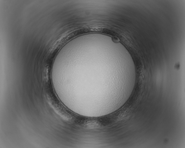 X0000116110262200912071329