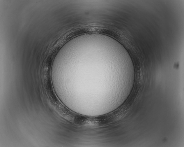 X0000116110263200912071329