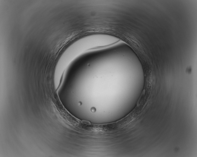 X0000116110264200912071329