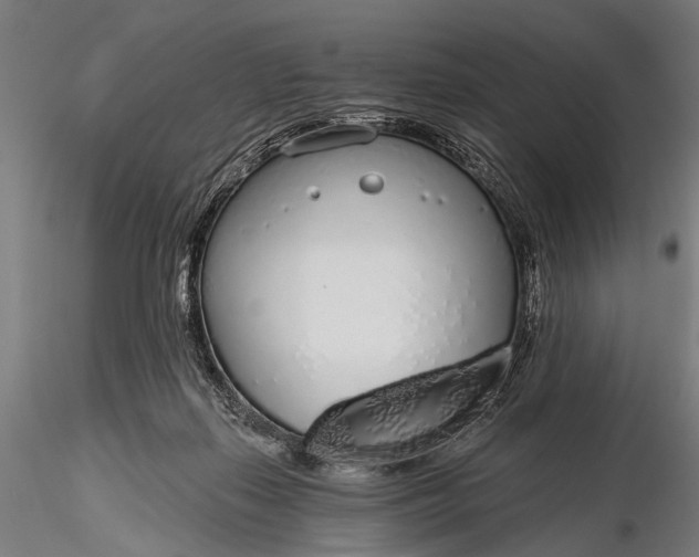 X0000116110267200912071329