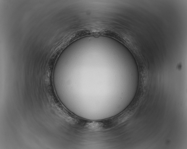 X0000116110269200912071329