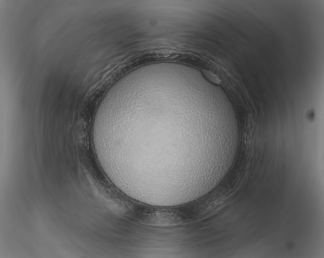 X0000116110270200912071329