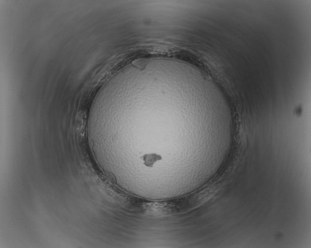 X0000116110273200912071329