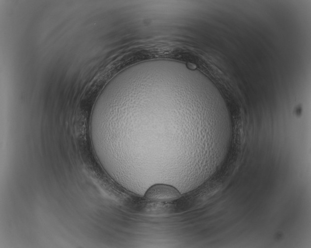 X0000116110274200912071329