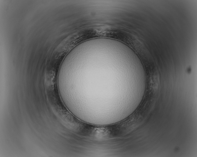 X0000116110275200912071329