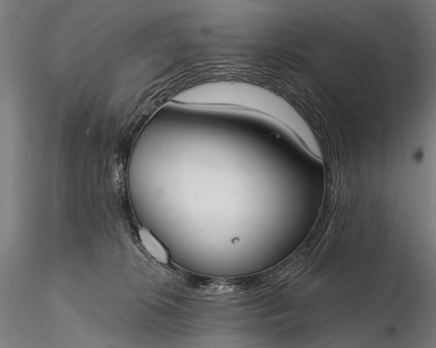 X0000116110276200912071329