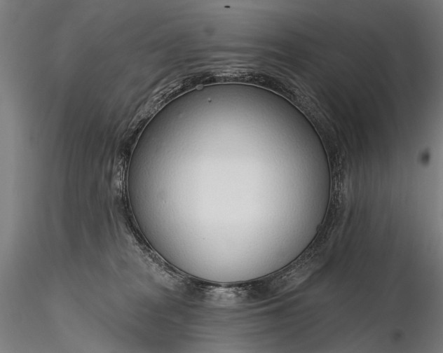 X0000116110277200912071329