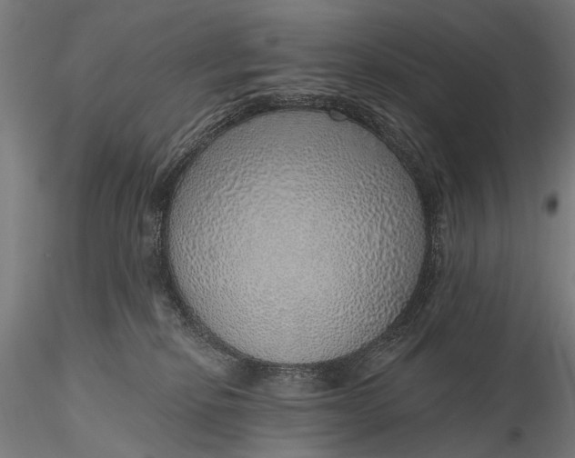 X0000116110278200912071329