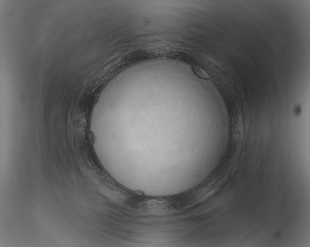 X0000116110279200912071329