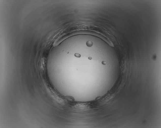 X0000116110280200912071329