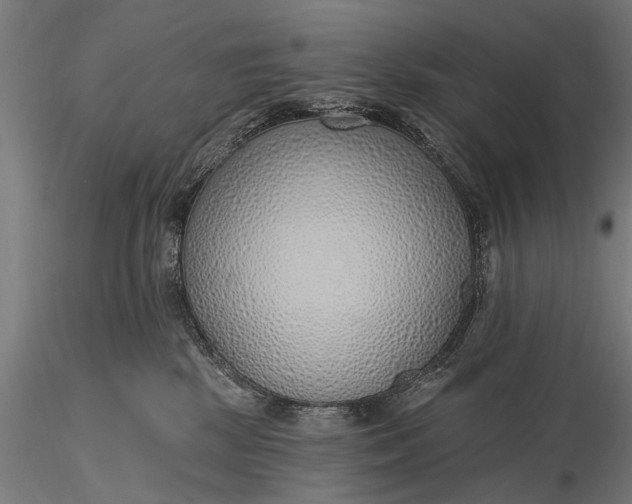 X0000116110281200912071329