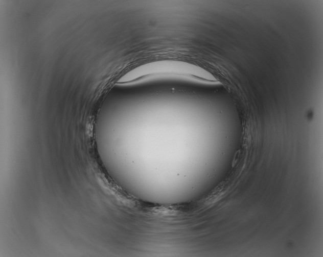 X0000116110284200912071329