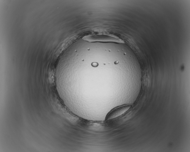 X0000116110285200912071329