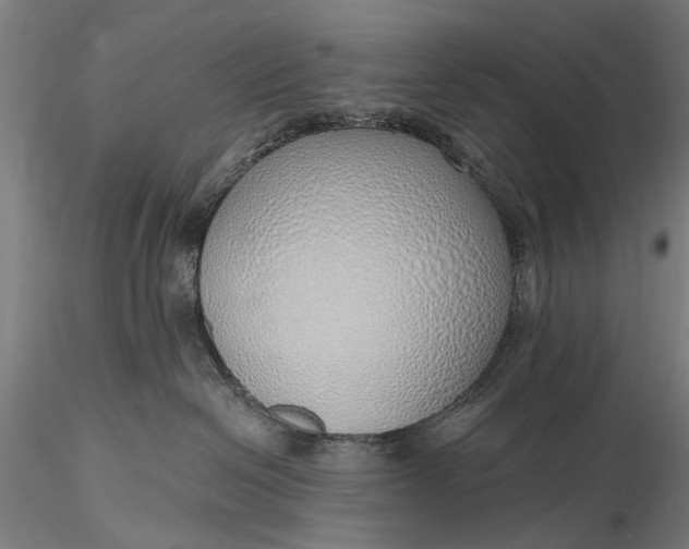 X0000116110286200912071329