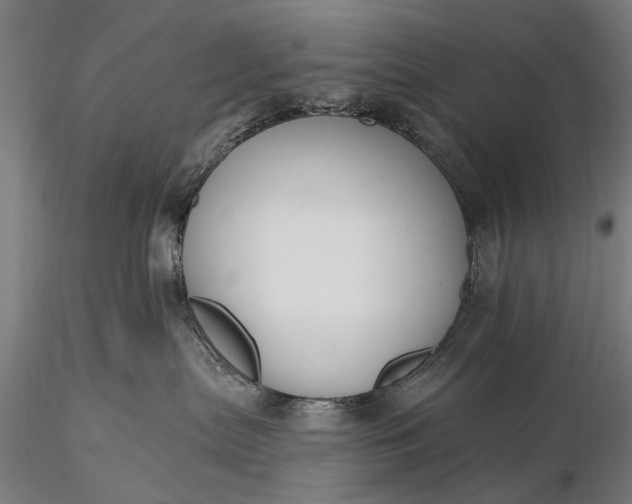 X0000116110287200912071329