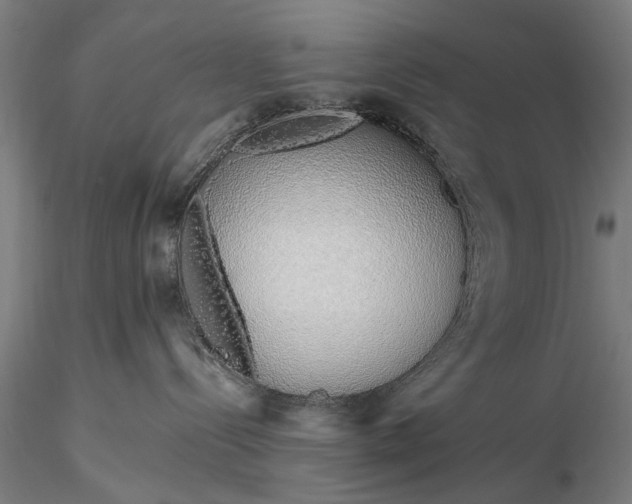 X0000116110288200912071330