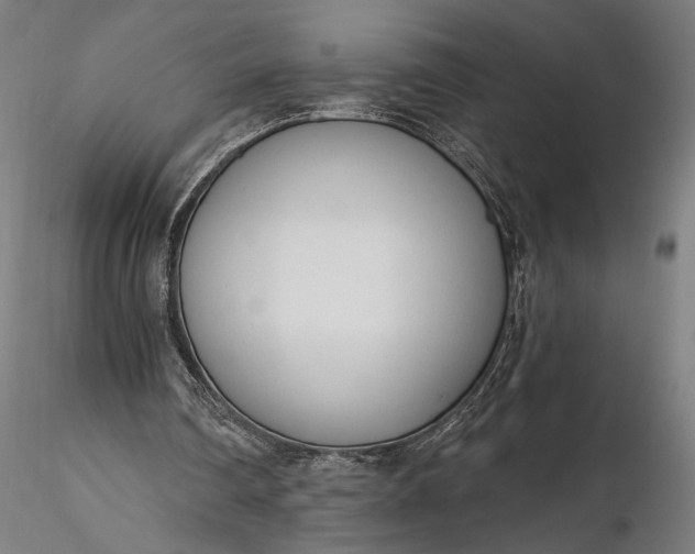 X0000116110290200912071329