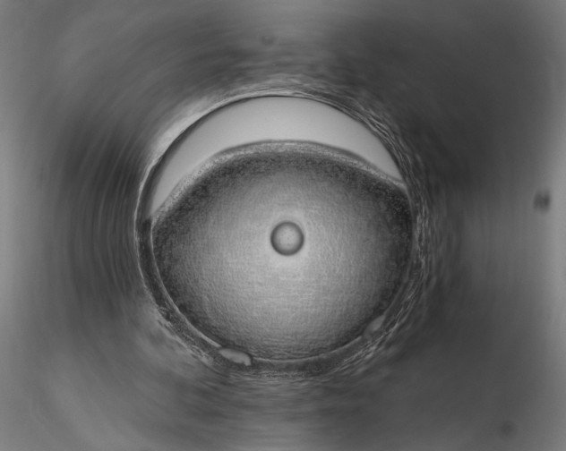 X0000116110292200912071329