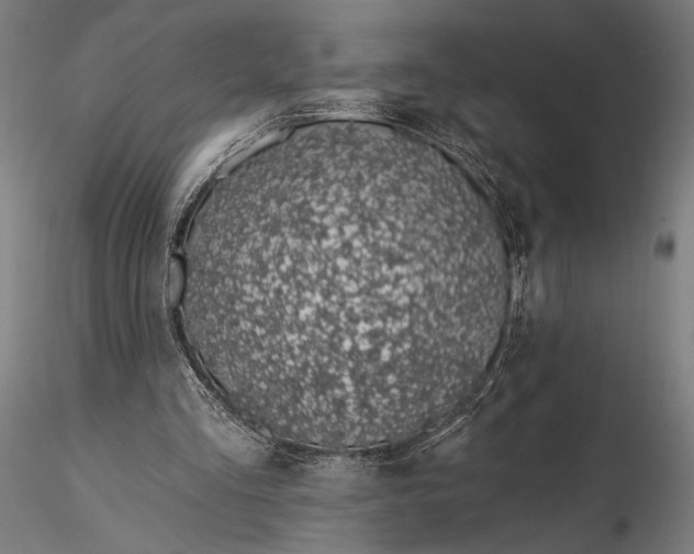 X0000116110293200912071329