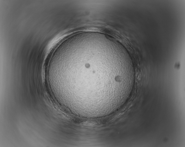 X0000116110294200912071329