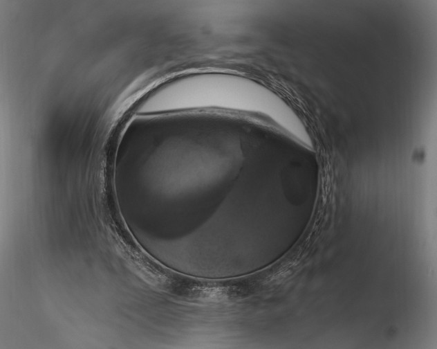 X0000116110295200912071329