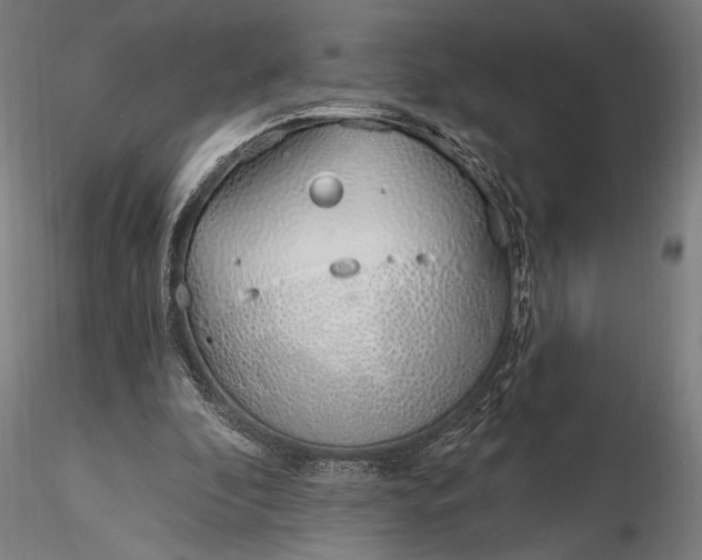 X0000116110296200912071329