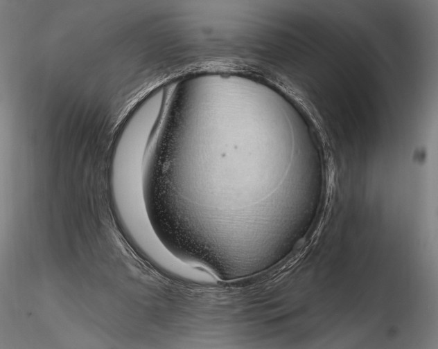 X0000116110297200912071329