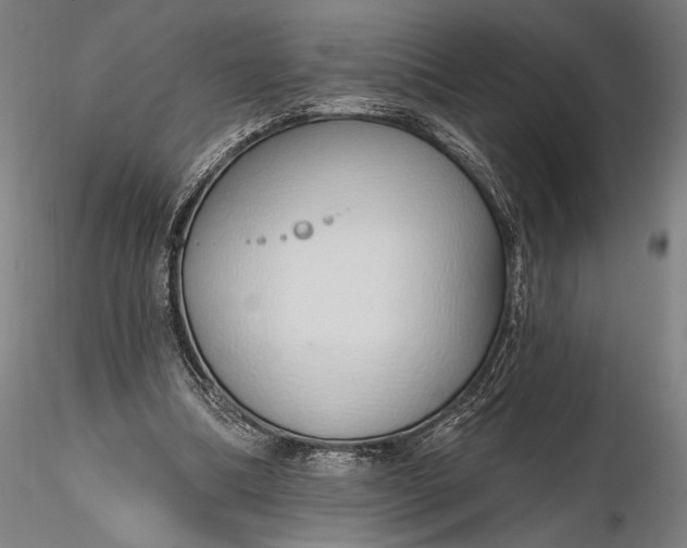 X0000116110298200912071329