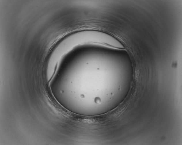 X0000116110302200912071329