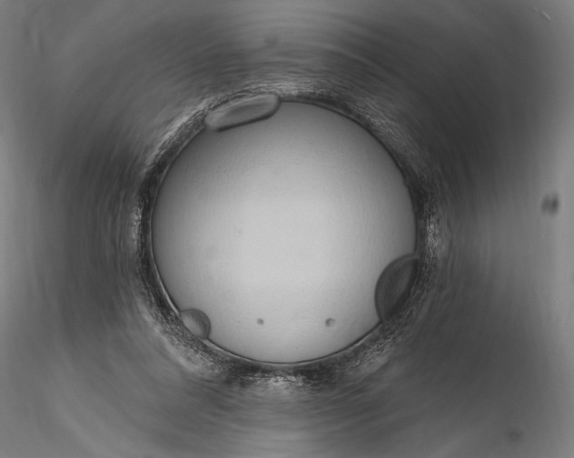 X0000116110304200912071329