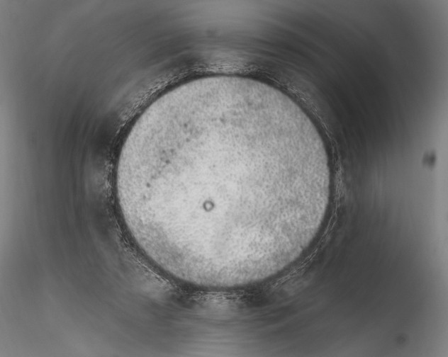 X0000116110305200912071329