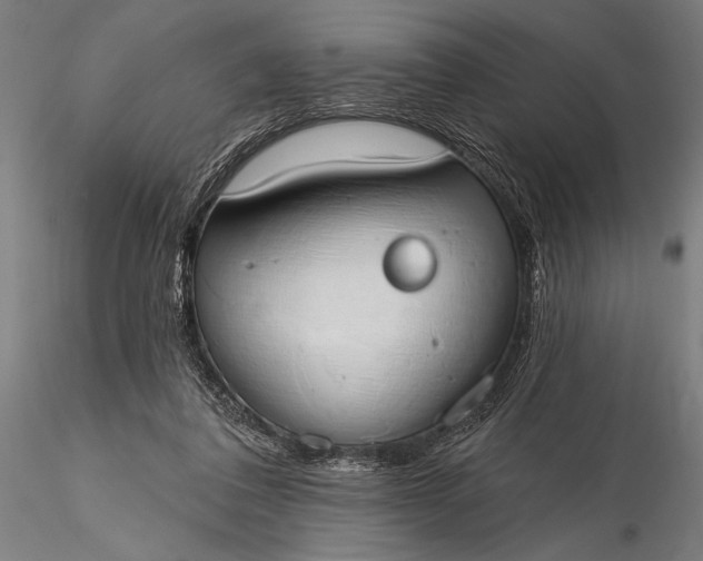 X0000116110308200912071329