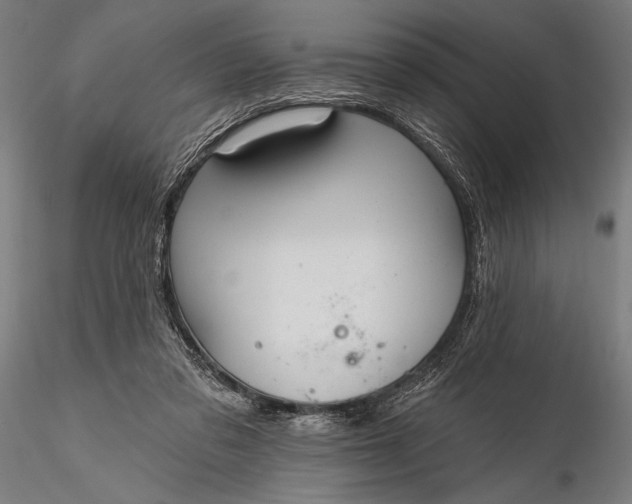 X0000116110309200912071329