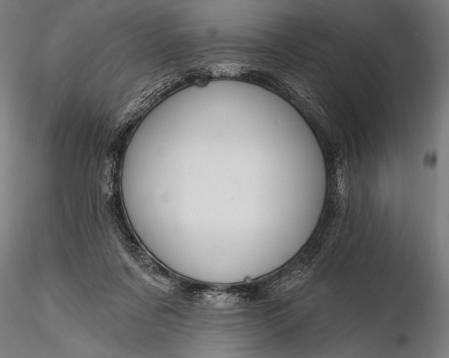 X0000116110311200912071329